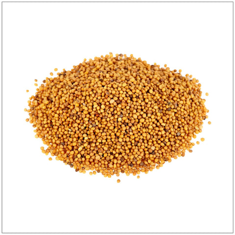 Premium Yellow Mustard Seed: 16 oz (1 lb) - Alive Herbals