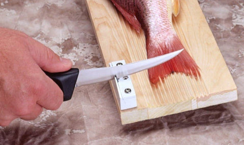 Accusharp SturdyMount Knife Sharpener #004C - Benhalex