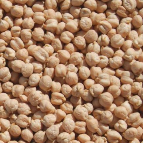 Organic Garbanzo Beans (Chickpeas), $5.00/lb - Timeless