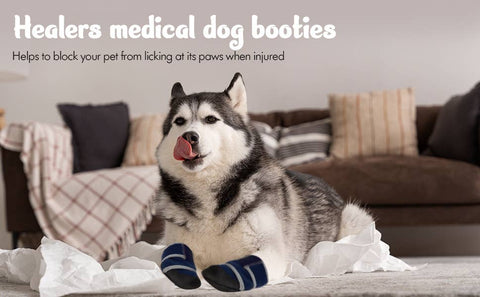 Healers Medical Booties: XS - Healers PetCare