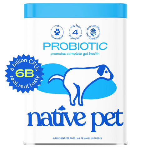 Probiotic & Prebiotic Powder Vet-Formulated Supplement for Dogs: 4.1 oz - Native Pet