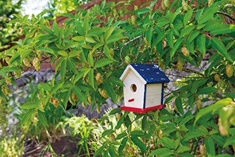 Paint A Bird Base, Backyard Birdhouse Kit - Beetle & Bee