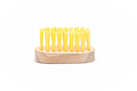 Corn Desilking Brush, Wood and Plastic,1.25" x 2.25" - Fox Run Brands