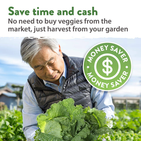 12 Winter Vegetable Seeds Varieties - Heirloom, Non-GMO - Homegrown Garden
