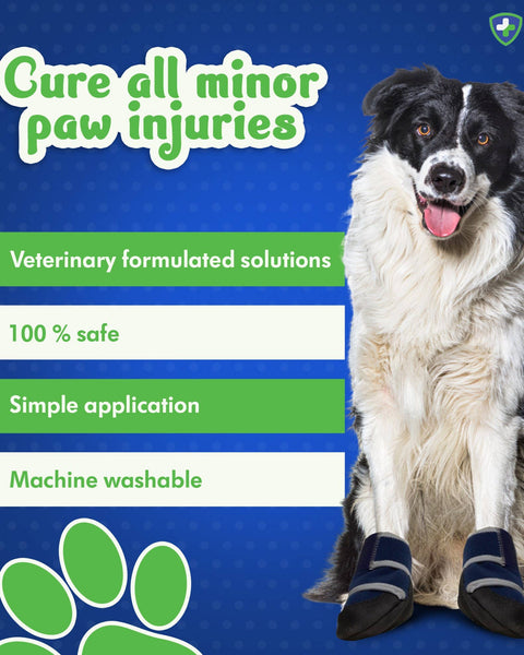 Healers Medical Booties: XL - Healers PetCare