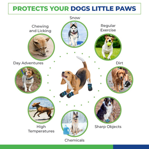 Urban Walkers III- Teal: X-Small - Healers PetCare