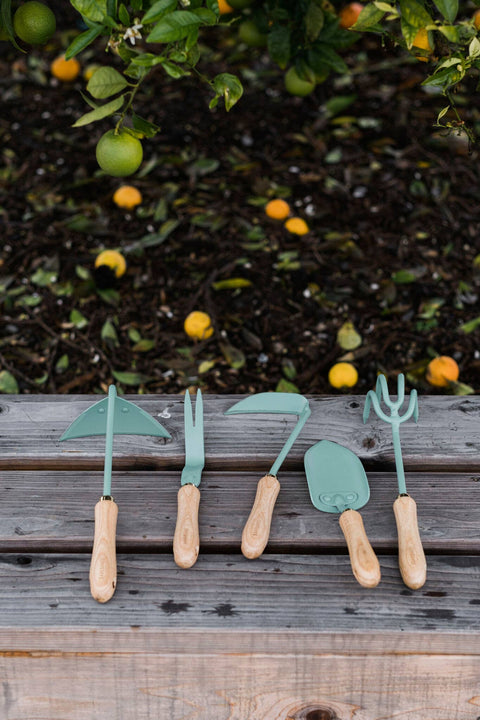 Dandelion Weeding Fork, Walnut/Black - Barebones