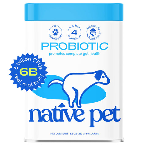 Probiotic & Prebiotic Powder Vet-Formulated Supplement for Dogs: 4.1 oz - Native Pet