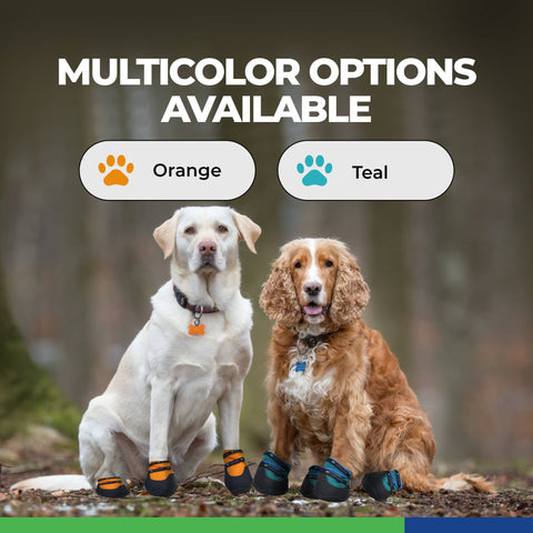 Urban Walkers III- Teal: Medium - For Pets - Healers PetCare