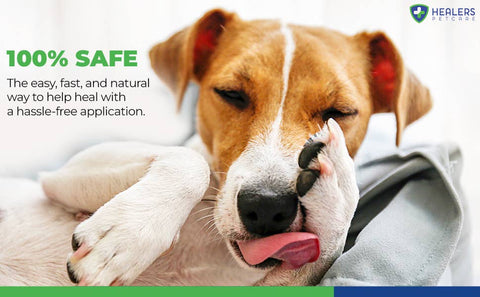 Wound Cleanser For Pets: 8 oz - Healers PetCare