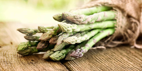 Asparagus, 50 Seeds, Non-GMO - The Rike