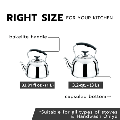 Stainless Steel Kettles with Infuser, Set of 2 - 33.8oz & 3.2qt