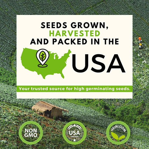 10 Heirloom Vegetable Seeds Variety Pack - Non GMO, Heirloom - Homegrown Garden