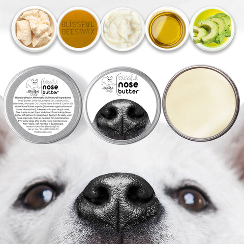 Nose Butter for Rough, Dry Dog Noses in Tins & Tubes: 1oz tin - The Blissful Dog