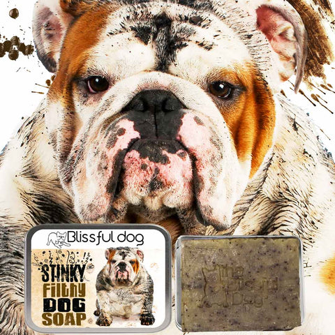 Stinky Filthy Dog Soap for Your Filthy Animal, 3.5-4 oz bar - The Blissful Dog