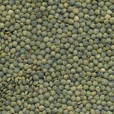 Organic French Green Lentils, $6.00/lb - Timeless