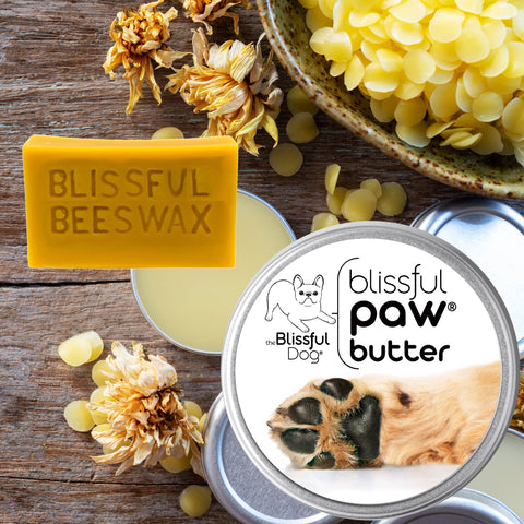 Paw Butter for Rough, Dry Dog Paws in Tins & Tubes, Paw Balm: 1 oz tin - The Blissful Dog