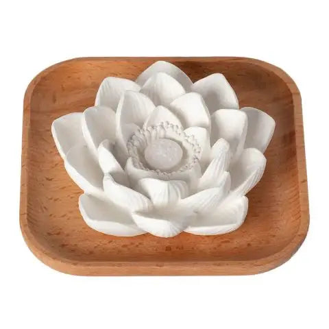 Passive Lotus Diffuser - Plant Therapy
