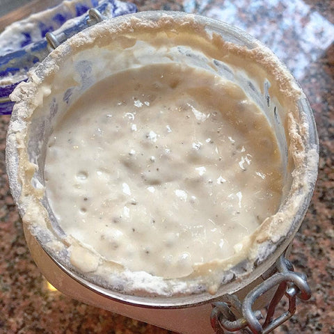 Sourdough Starter - Breadtopia