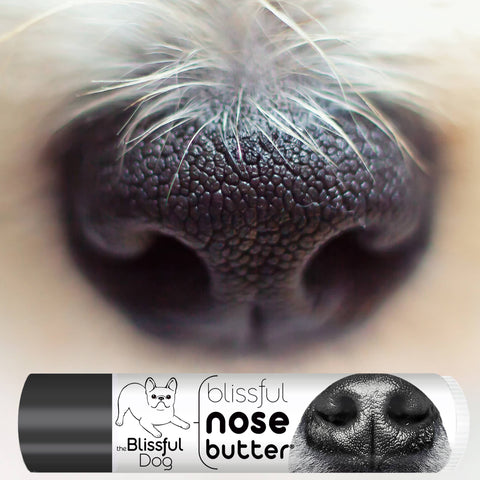 Nose Butter for Rough, Dry Dog Noses in Tins & Tubes: 1oz tin - The Blissful Dog