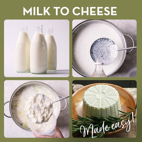 Cheese Molds, Set of 5 + Recipe Book - Country Trading Co.