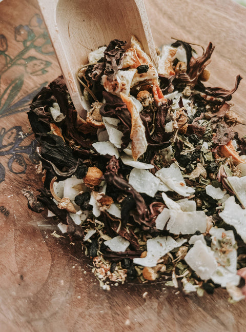 Immunity Shot - Herbal Organic Infused Immunity Shot - Birch Tea Co.
