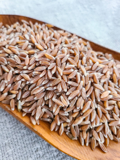 Emmer Farro Organic Whole Grain, 1lb - Bluebird Grain Farms