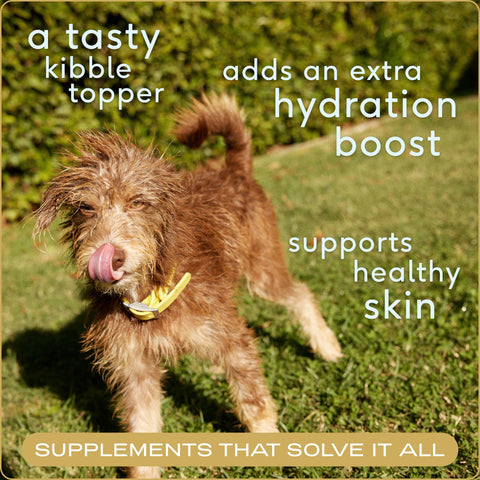 Beef Bone Broth Powder, Grain-Free Food Topper for Dogs: 4.75oz - Native Pet