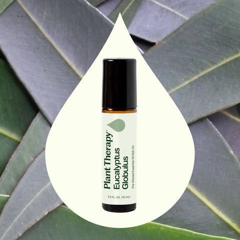 Roll-On Eucalyptus Globulus Essential Oil, 10 ml - Plant Therapy