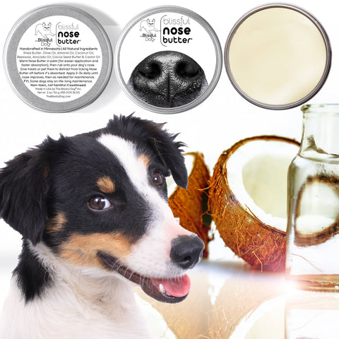 Nose Butter for Rough, Dry Dog Noses in Tins & Tubes: 1oz tin - The Blissful Dog