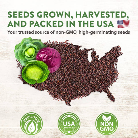 7 Varieties Cabbage Seeds - Non-GMO, Heirloom - Homegrown Garden