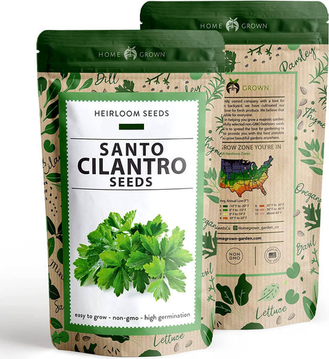 Cilantro Seeds (Santo) - Heirloom, Non-GMO - Homegrown Garden