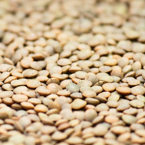 Organic Green Lentils, $6.00/lb - Timeless