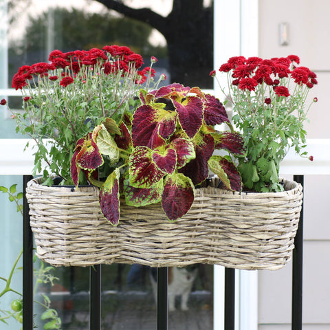 Round Polyrattan Over-the-Rail Tri-Planter, Frost - Sunnydaze Decor