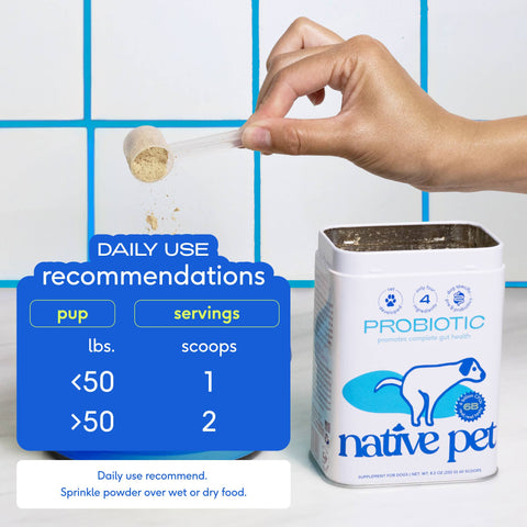 Probiotic & Prebiotic Powder Vet-Formulated Supplement for Dogs: 4.1 oz - Native Pet