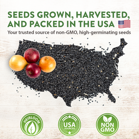 8 Onion Seeds Variety Pack - Heirloom, Non GMO - Homegrown Garden