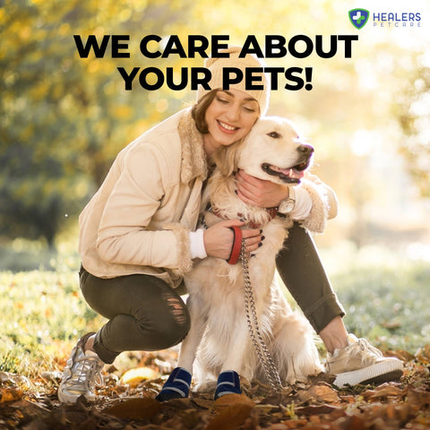 Healers Medical Booties: XL - Healers PetCare
