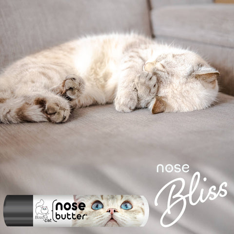 The Blissful Cat Nose Butter: 0.15oz Tube - The Blissful Dog