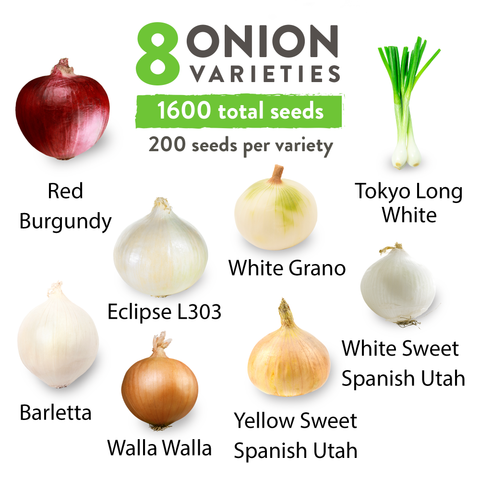 8 Onion Seeds Variety Pack - Heirloom, Non GMO - Homegrown Garden