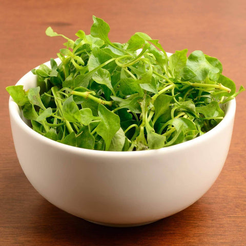 Watercress Seeds (Nasturtium officinale) - The Rike