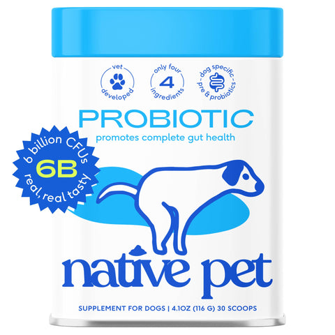 Probiotic & Prebiotic Powder Vet-Formulated Supplement for Dogs: 4.1 oz - Native Pet