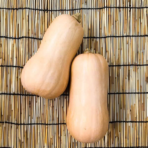 Butternut Squash, 90 Seeds, Non-GMO - The Rike