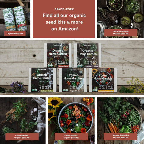 Organic Garden Salsa Growing Kit - Non-GMO - Spade To Fork