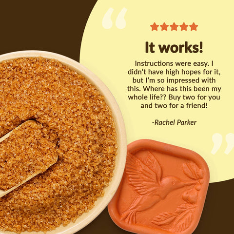 Brown Sugar Saver, Hummingbird - JBK Pottery