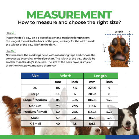 Urban Walkers III- Teal: Medium - For Pets - Healers PetCare