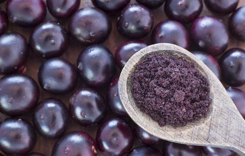 Organic Acai Berry Powder –Non-GMO, Kosher, Raw, Freeze-Dried: 0.25 Pound - Food To Live