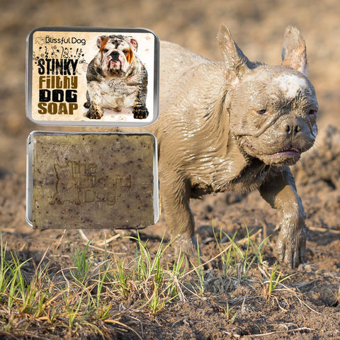 Stinky Filthy Dog Soap for Your Filthy Animal, 3.5-4 oz bar - The Blissful Dog