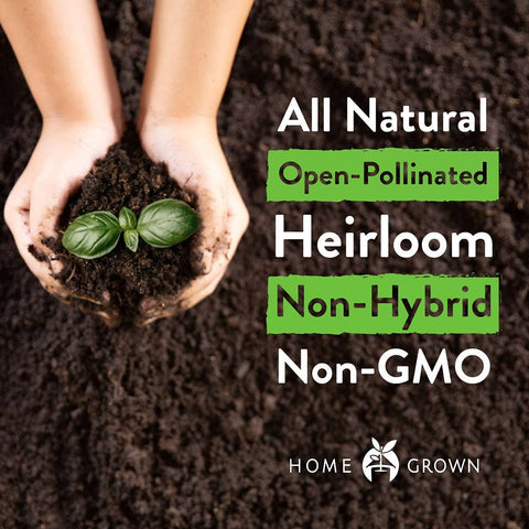 Heirloom Vegetable Seeds - Non GMO - Homegrown Garden