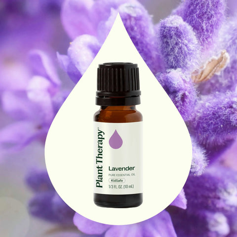 Lavender Essential Oil, 10 ml - Plant Therapy