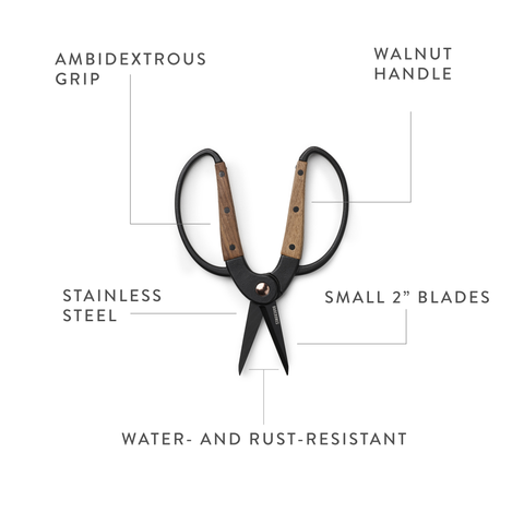 Garden Scissors, Small - Barebones